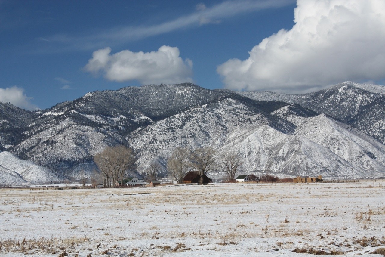 Carson Valley open land and mountain backdrop