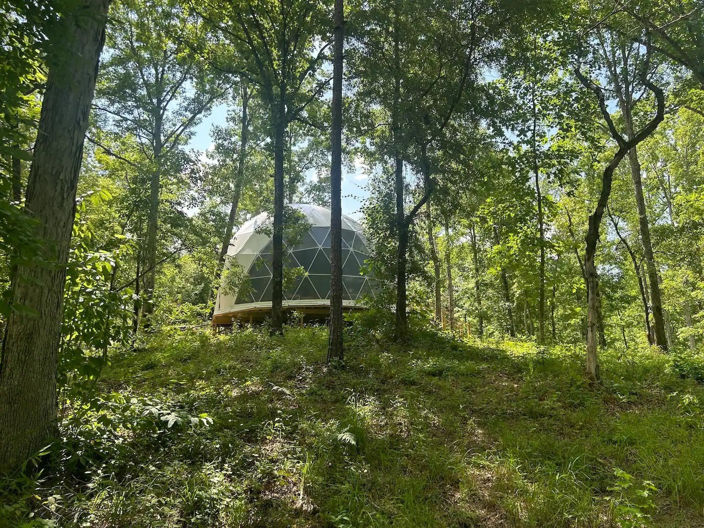 Sweet Dome Alabama — project image 2